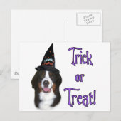 Bernese Mountain Dog Trick Postkarte (Vorne/Hinten)