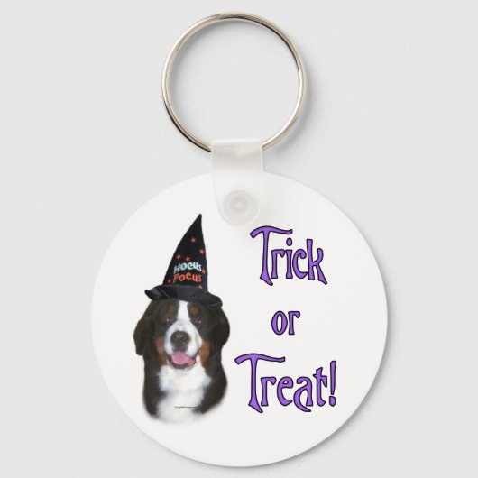 Bernese Mountain Dog Trick Schlüsselanhänger (Vorderseite)