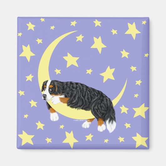 Bernese Mountain Dog Twinkle Magnet (Vorne)