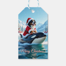 Bernese Mountain Dog und Orca Weihnachten