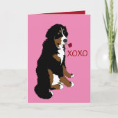 Bernese Mountain Dog Valentine's Day Karte (Vorderseite)