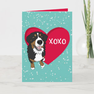 Bernese Mountain Dog Valentinstag Dankeskarte