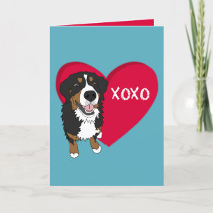 Bernese Mountain Dog Valentinstag Dankeskarte