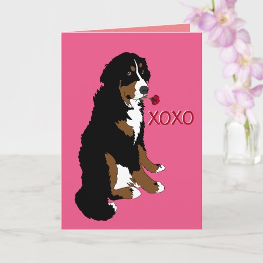 Bernese Mountain Dog Valentinstag Karte (Orchidee)