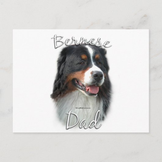 Bernese Mountain Dog Vater 2 Postkarte (Vorderseite)