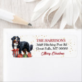 Bernese Mountain Dog Weihnachtsgeschenke (Insitu)