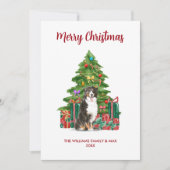 Bernese Mountain Dog Weihnachtskarte Feiertagskarte (Vorderseite)