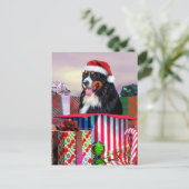 Bernese Mountain Dog Weihnachtsüberraschung Feiertagspostkarte (Stehend Vorderseite)
