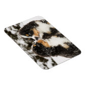 Bernese Mountain Dog Welppies Sniff Magnet (Rechte Seite)