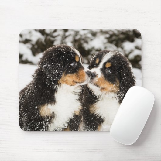 Bernese Mountain Dog Welppies Sniff Mousepad (Mit Mouse)