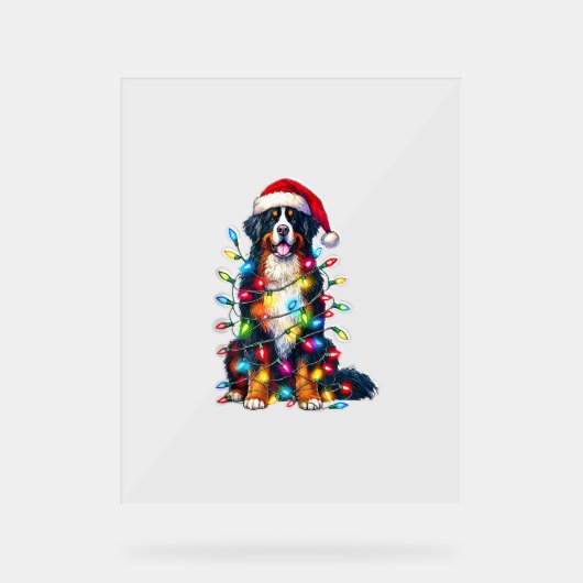 Bernese Mountain Dog x Christmas Lights Acrylschild (Vorderseite)