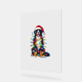 Bernese Mountain Dog x Christmas Lights Acrylschild (Winkel)