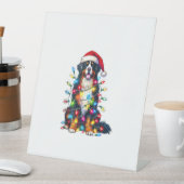 Bernese Mountain Dog x Christmas Lights Sockelschild (In Situ)