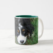 Bernese Mountain Dog Zweifarbige Tasse (VorderseiteRechts)