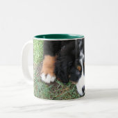 Bernese Mountain Dog Zweifarbige Tasse (Vorderseite Links)