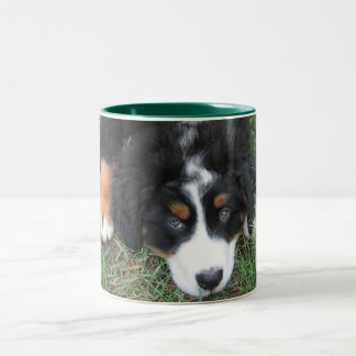 Bernese Mountain Dog Zweifarbige Tasse