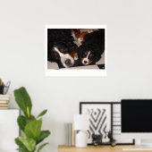 Bernese Mountain Dogs Kopf Poster (Heimbüro)