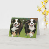 Bernese Mountain Dogs notecards Karte (Gelbe Blume)