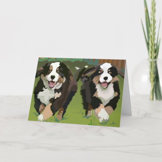 Bernese Mountain Dogs notecards Karte (Vorderseite)