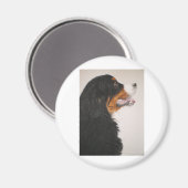 Bernese Mountain Hund 2 Magnet (Vorderseite/Rückseite)