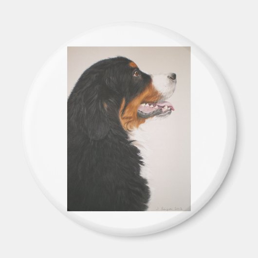 Bernese Mountain Hund 2 Magnet (Vorne)