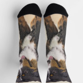 Bernese Mountain Hund 2 Malerei - Niedlich Origina Socken (Oben)