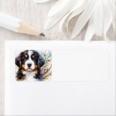 Bernese Mountain Hund AI Welppy (Insitu)