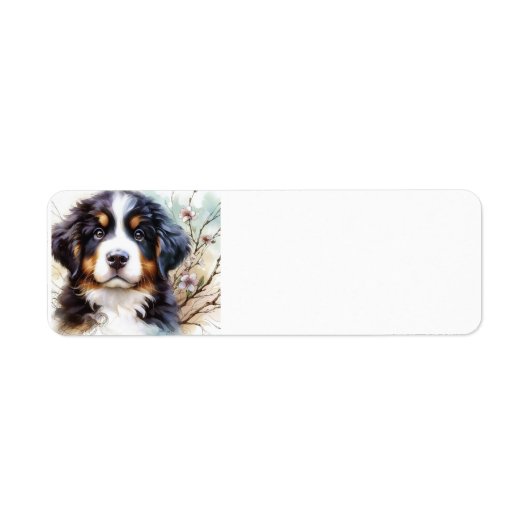 Bernese Mountain Hund AI Welppy (Vorne)