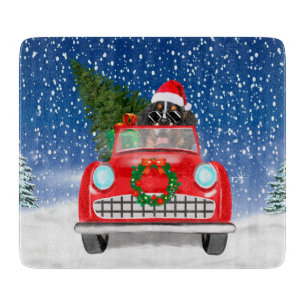 Bernese Mountain Hund Autofahren Auto im Schnee We Schneidebrett