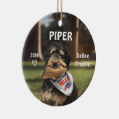 Bernese Mountain Hund Foto Ornament (Rechts)