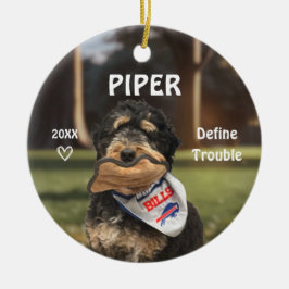 Bernese Mountain Hund Foto Ornament