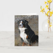 Bernese Mountain Hund Hallo Liebe Vielen Dank Karte (Gelbe Blume)