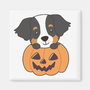 Bernese Mountain Hund in Pumpkin Hunde Happy Magne Magnet