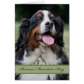 Bernese Mountain Hund jedes Mal unsichtbar im Inne (Vorne)