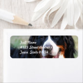 Bernese Mountain Hund Label (Insitu)