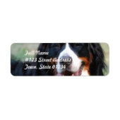 Bernese Mountain Hund Label (Vorne)