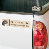 Bernese Mountain Hund Malerei - Original Hunde Kun Autoaufkleber (Auf Lkw)