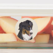 Bernese Mountain Hund Malerei - Original Hunde Kun Etiketten (Befestigt)