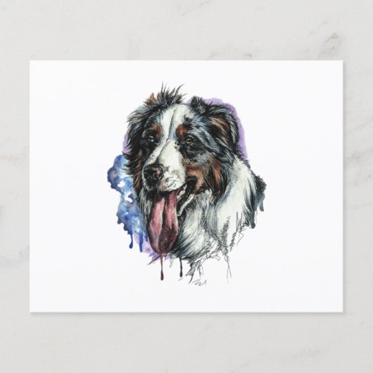 Bernese Mountain Hund Niedliches Gesicht Postkarte (Vorderseite)