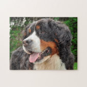 Bernese Mountain Hund. Puzzle (Horizontal)