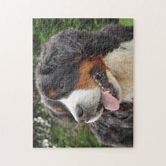 Bernese Mountain Hund. Puzzle (Vertikal)