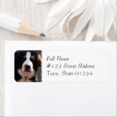 Bernese Mountain Hund Rasse Adressenaufkleber (Insitu)