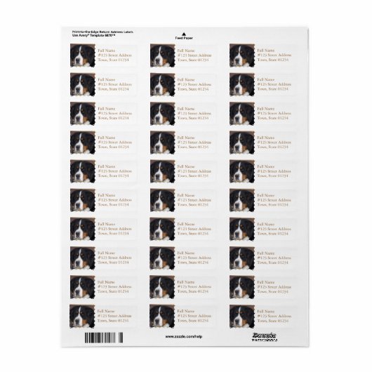 Bernese Mountain Hund Rücksendeadresse (Vorne)