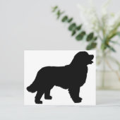Bernese Mountain Hund (schwarze Silhouette) Postkarte (Stehend Vorderseite)