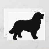 Bernese Mountain Hund (schwarze Silhouette) Postkarte (Vorne/Hinten)