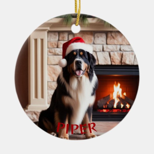 Bernese Mountain Hund Weihnachtsmannmütze Ornament (Vorne)