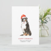 Bernese Mountain Hund Weihnachtsmannmütze Weihnach Ankündigung (Stehend Vorderseite)