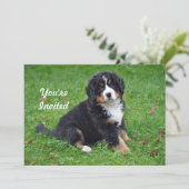 Bernese Mountain Hund Welpe Foto Geburtstag Einladung (Stehend Vorderseite)