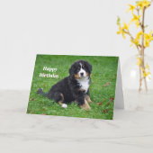 Bernese Mountain Hund Welpe Foto Geburtstag Karte (Gelbe Blume)