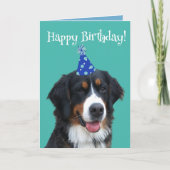 Bernese Mountain Hund Welpe Geburtstag Karte (Vorderseite)